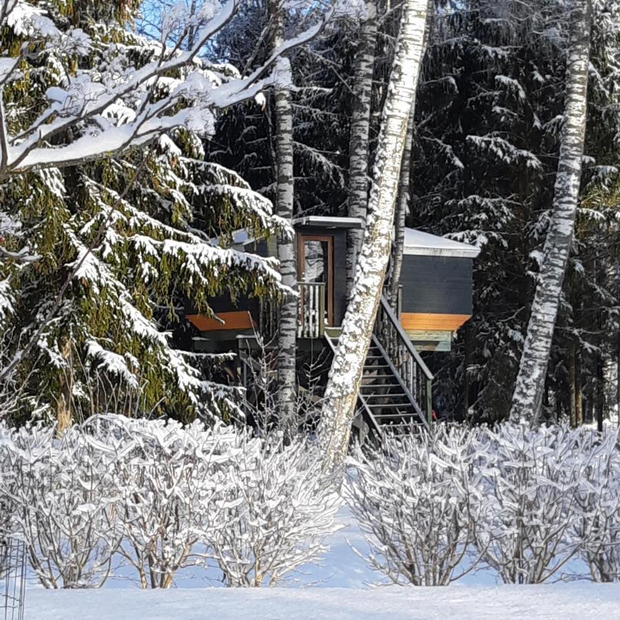 Spa Glamping Kirikumoisa Exteriör bild