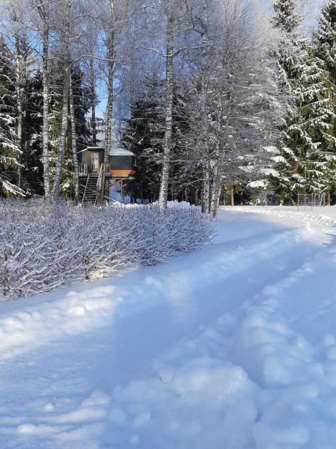 Spa Glamping Kirikumoisa Exteriör bild