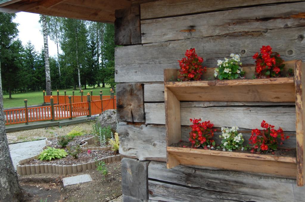 Spa Glamping Kirikumoisa Exteriör bild