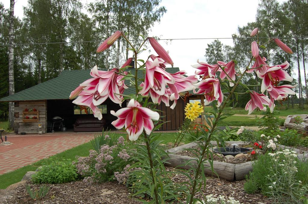 Spa Glamping Kirikumoisa Exteriör bild